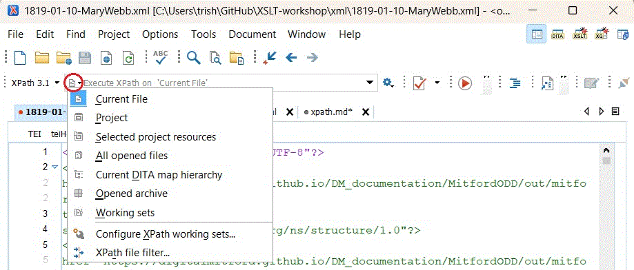 XPath scope icon